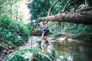 BIB: 
                            <button type="button" onclick="openModal(25437419)" class="btn btn-primary btn-sm float-right btn-popup" data-toggle="modal" data-target=".modal-high-quality">
                        <i class="fas fa-shopping-cart"></i> Add to Cart
                    </button>
                                            <button type="button" onclick="isThisMe(25437419, true)" class="btn btn-success btn-sm float-right btn-popup btn-isme hidden" data-toggle="tooltip" data-placement="bottom" title="นี่คือรูปของคุณใช่ไหม คลิกที่นี่เพื่อเอาเข้าอัลบั้ม">
                        <i class="fas fa-plus"></i> Add to album
                    </button>
                    <button type="button" onclick="isThisMe(25437419, false)" class="btn btn-warning btn-sm float-right btn-popup btn-isnotme hidden">
                        <i class="fas fa-ban"></i> Remove from album
                    </button>